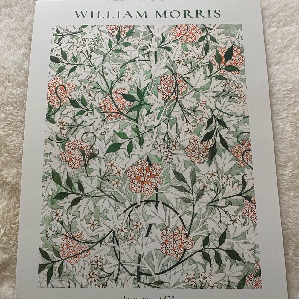 William Morris Vtg “ Jasmine 1872 ” green orange Wall Art Print unframed 11 x 14